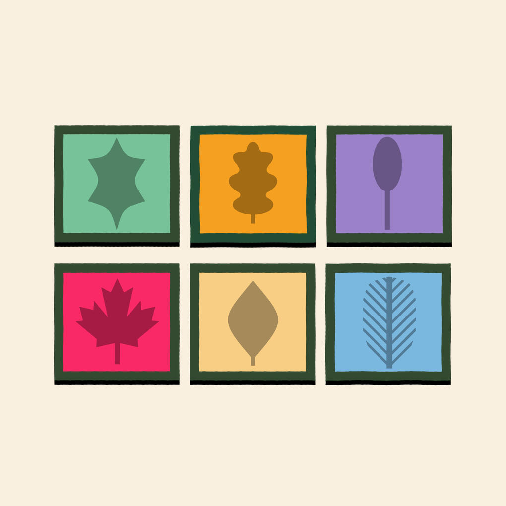 CubeRoots Digital Logo Logo for the mobile game developer CubeRoots Digital. 6 cubes of different colours with different leaf symbols on.